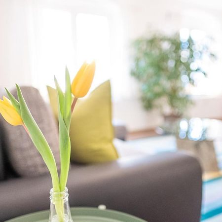 Helle Ferienwohnung Im Hinterhof เดรสเดน ภายนอก รูปภาพ